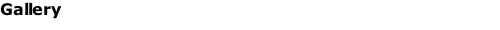 Gallery